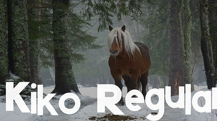 Kiko Font