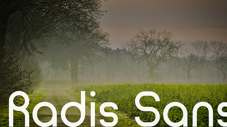 Radis Sans Font