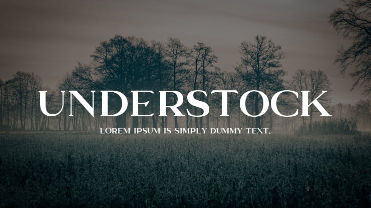 Understock Font Family