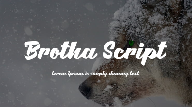 Brotha Script Font