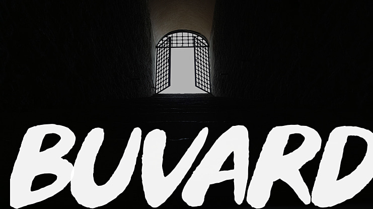 Buvard Font