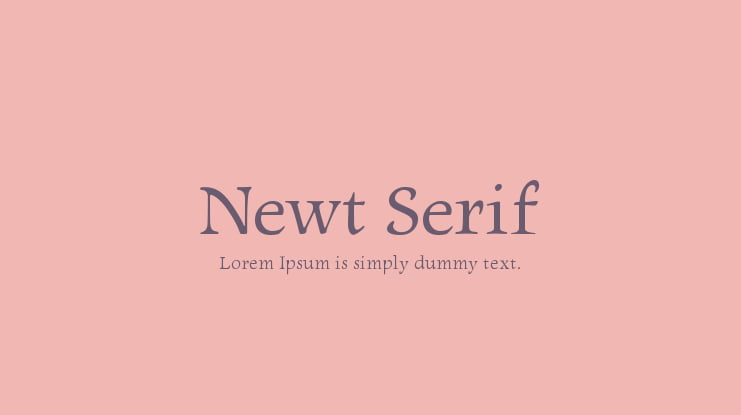 Newt Serif Font Family
