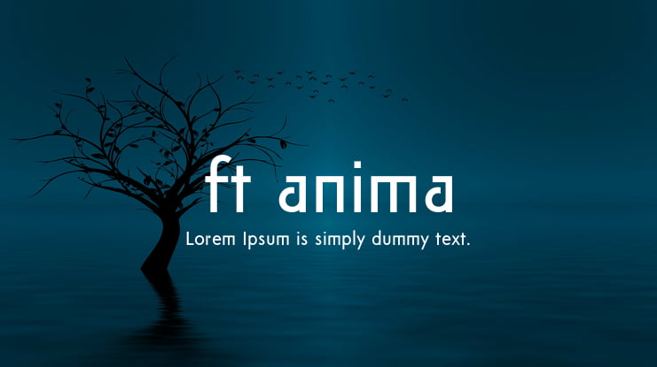 ft anima Font Family