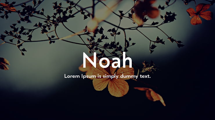 Noah Font Family