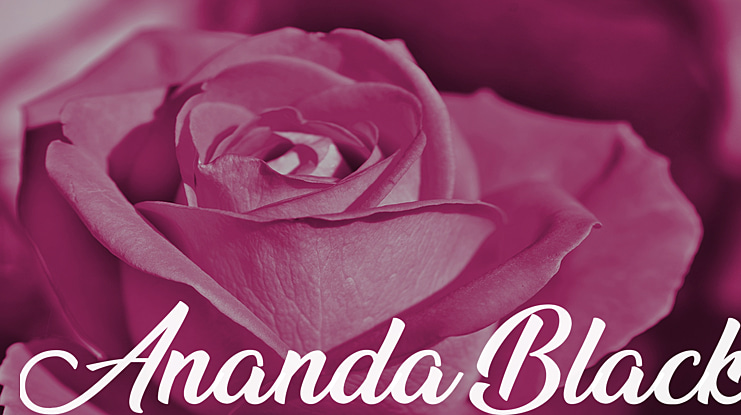 Ananda Black Font Family