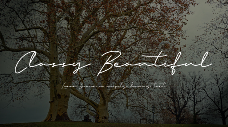 Classy Beautiful Font Family
