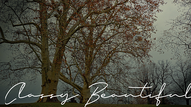 Classy Beautiful Font Family