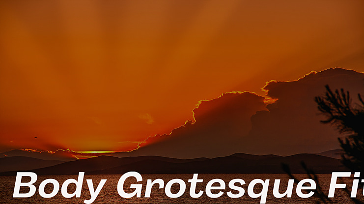 Body Grotesque Fit Font Family