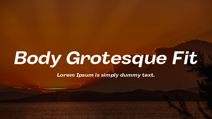Body Grotesque Fit Font Family