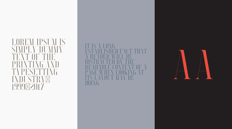 Searchlight Font Family