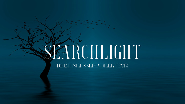 Searchlight Font Family