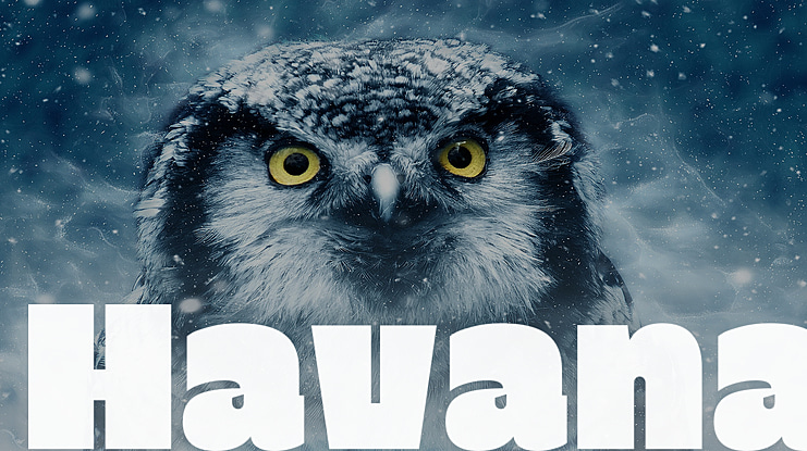 Havana Font