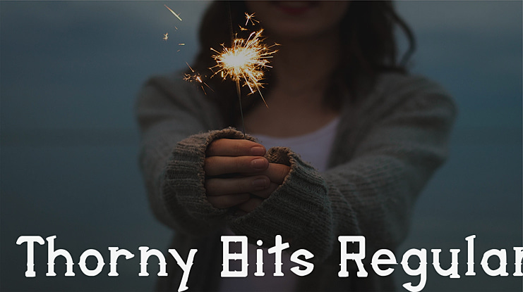 Thorny Bits Font