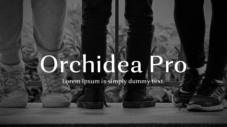 Orchidea Pro Font Family