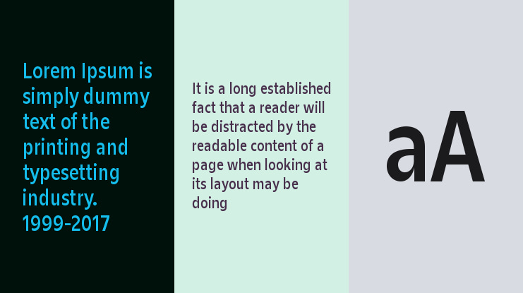 Zin Sans Condensed Font Family