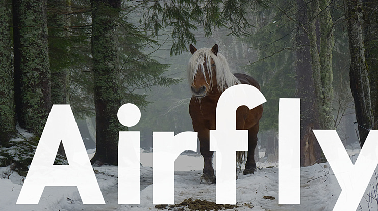 Airfly Font
