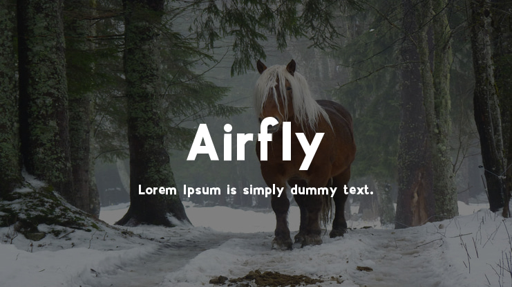 Airfly Font