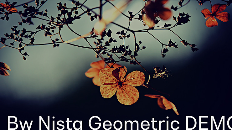 Bw Nista Geometric DEMO Font Family