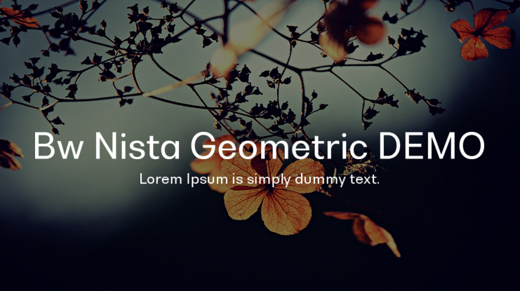 Bw Nista Geometric DEMO Font Family