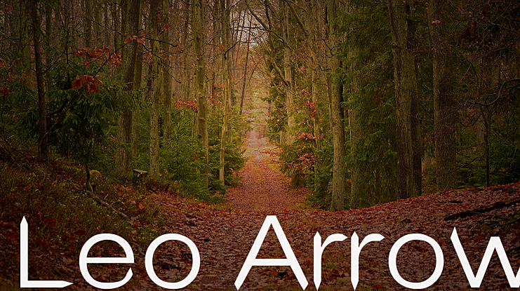 Leo Arrow Font