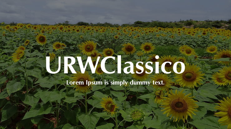 URWClassico Font Family