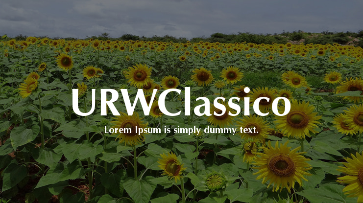 URWClassico Font Family