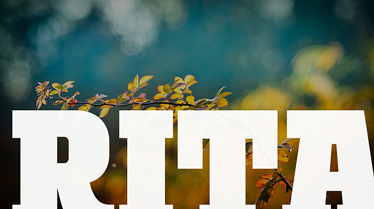 Rita Font Family