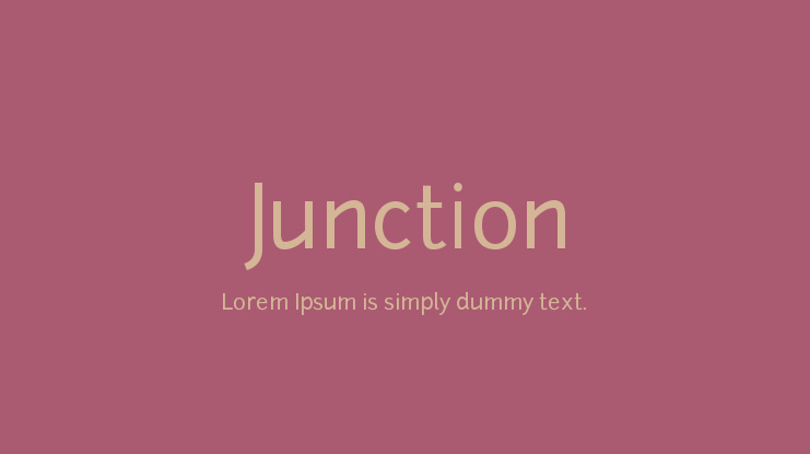 Junction Font Family