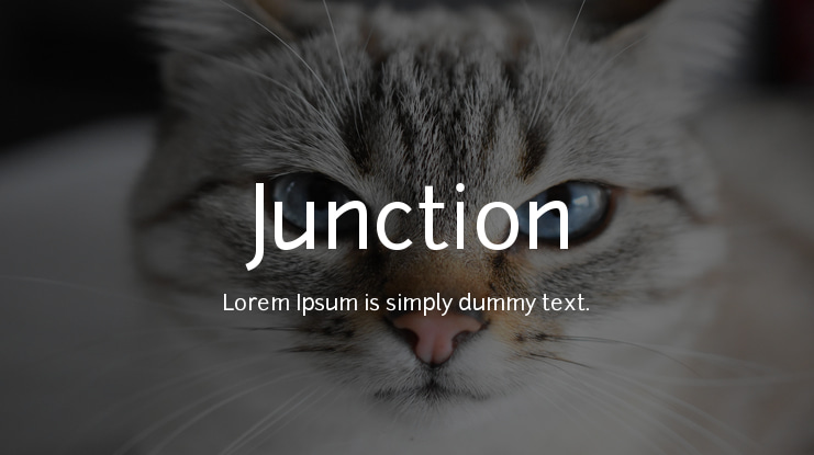 Junction Font Family