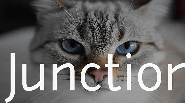 Junction Font Family