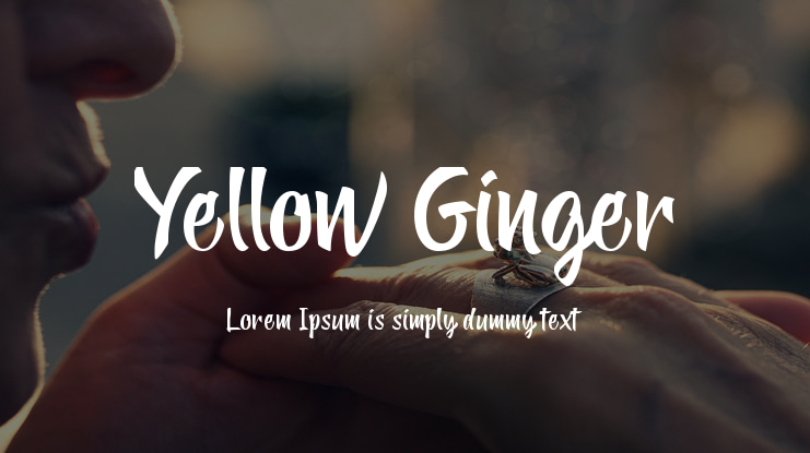 Yellow Ginger Font