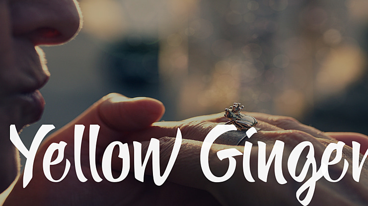 Yellow Ginger Font