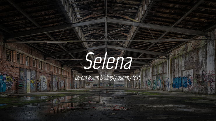 Selena Font Family
