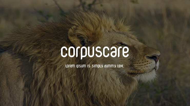 CorpusCare Font Family