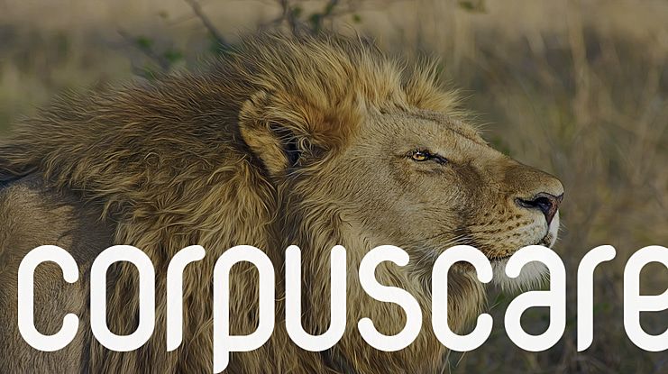 CorpusCare Font Family