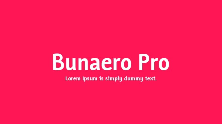 Bunaero Pro Font Family
