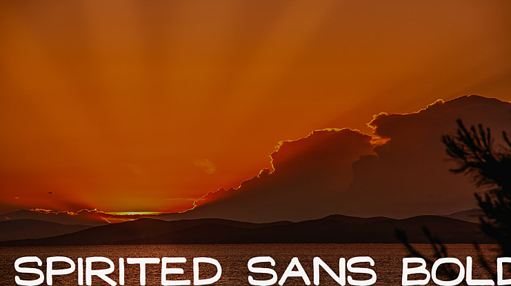 Spirited Sans Font Family