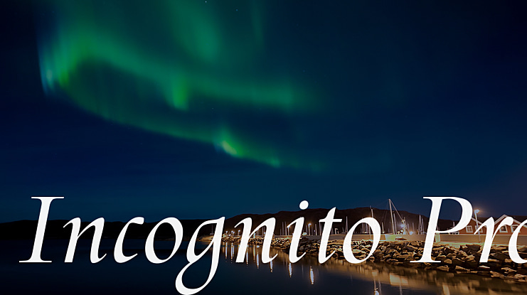 Incognito Pro Font Family