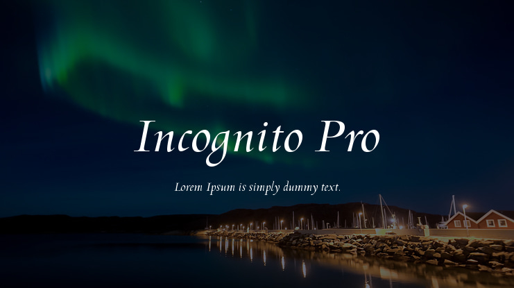 Incognito Pro Font Family