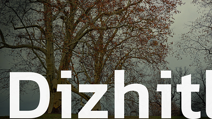 Dizhitl Font Family