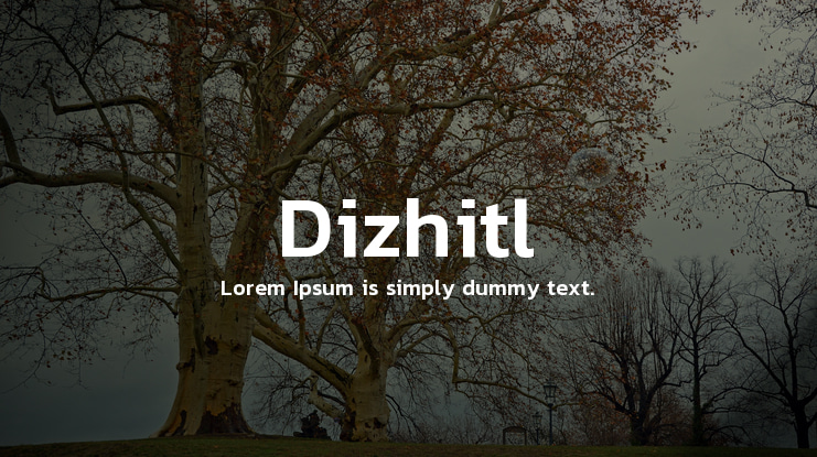 Dizhitl Font Family
