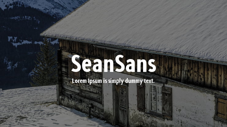 SeanSans Font Family