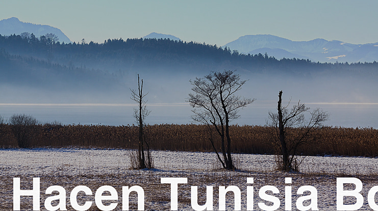 Hacen Tunisia Bd Font Family