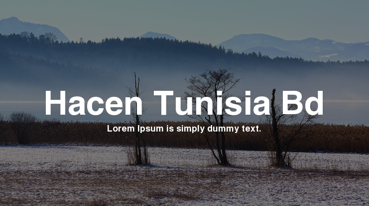 Hacen Tunisia Bd Font Family