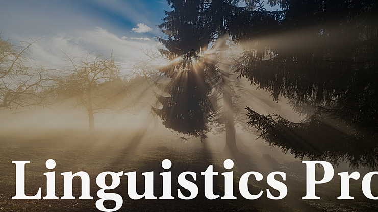 Linguistics Pro Font Family