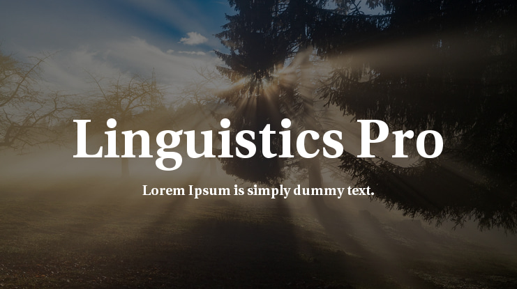 Linguistics Pro Font Family