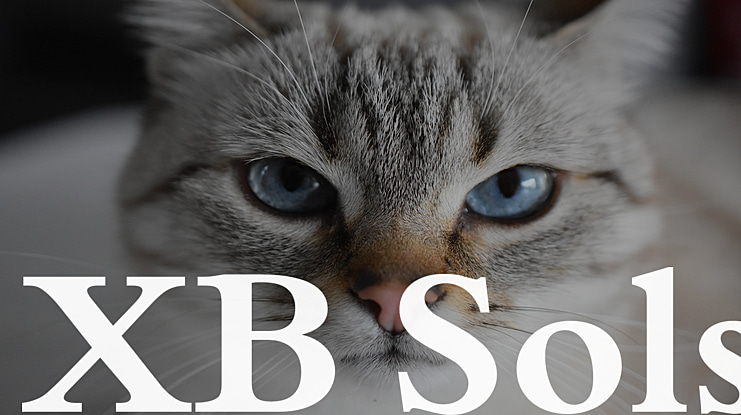 XB Sols Font Family