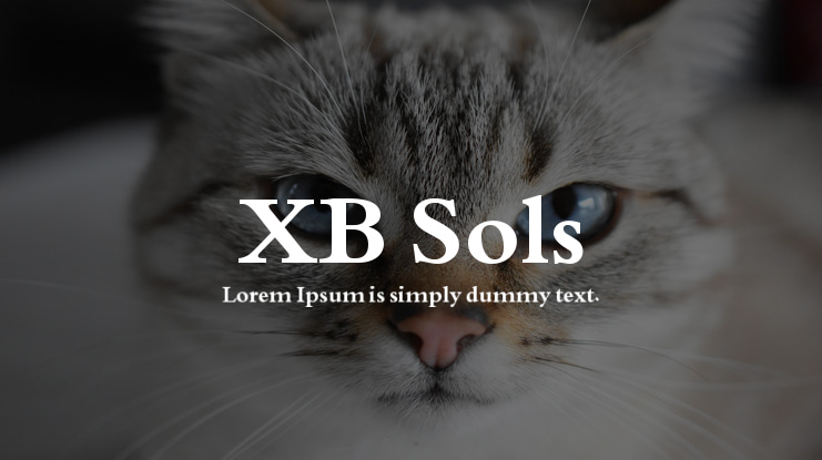 XB Sols Font Family