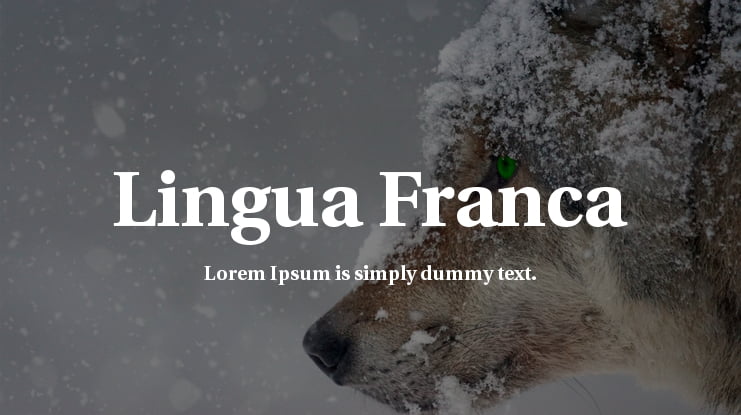 Lingua Franca Font Family