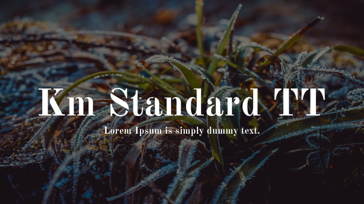 Km Standard TT Font